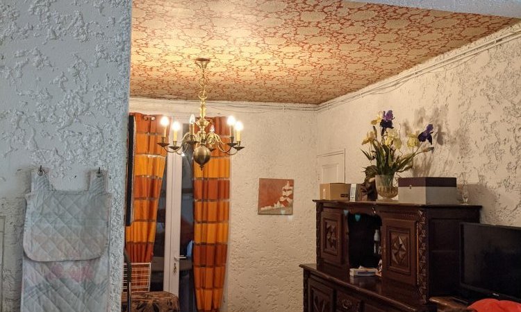 Vue du salon - Existant